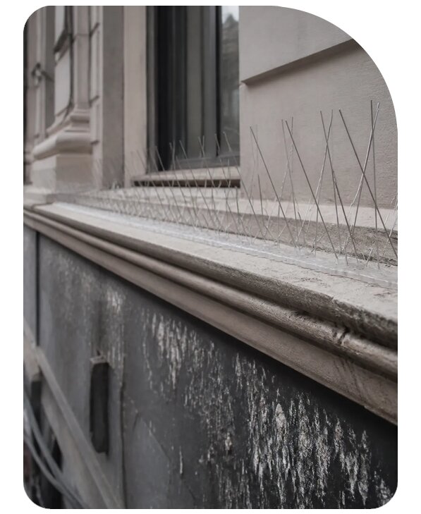 Антиприсадочные шипы от птиц в Куйбышеве по цене от 3629 р. | Сенат-Кбш